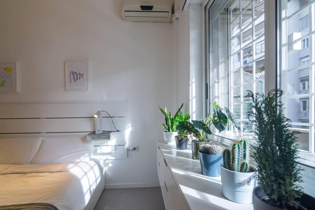 My Cozy White House * Rome